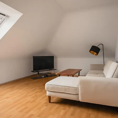 Apartment Schickes 2-zimmer Messe Rü Innenstadt *